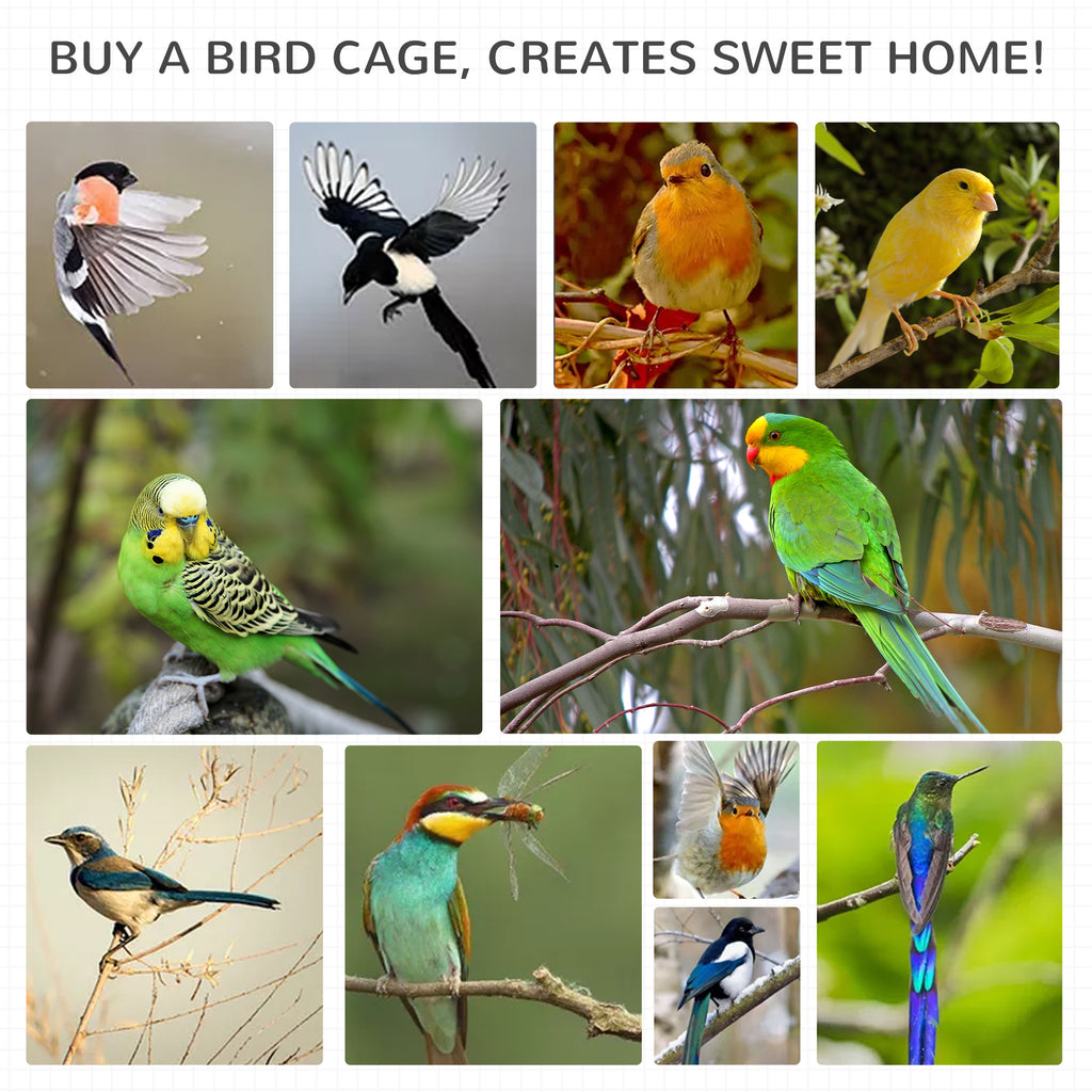 60" Outdoor Bird Cage for Finches